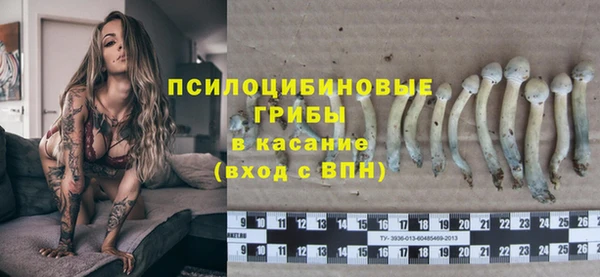 a pvp Корсаков